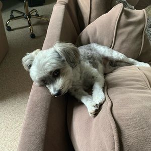 Meet your Posher, Manny